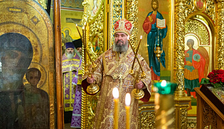 Архиепископ Юстиниан открыл общепархиальный проект «Свидетельство веры»