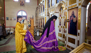 Архиепископ Юстиниан совершил Литургию в храме села Приютное 
